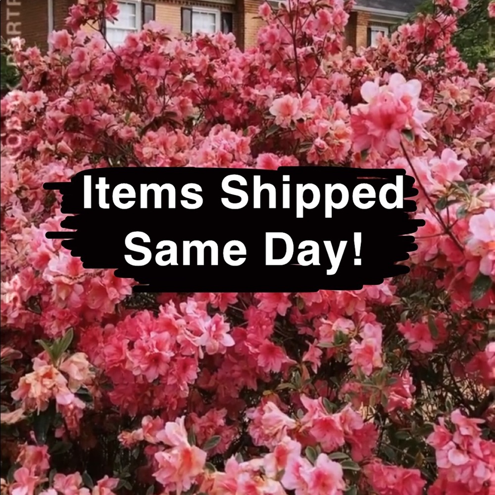 Same Day Shipping on Most Orders
